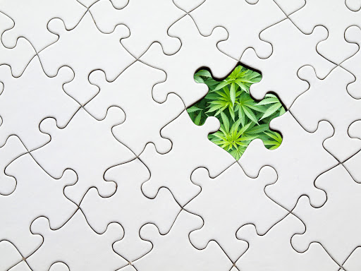 Brotsanbert Abogados