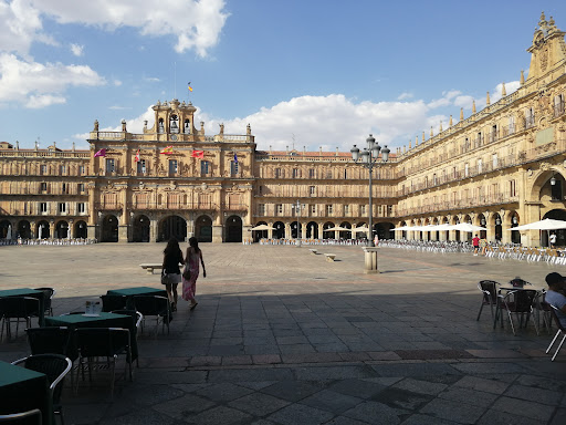 Procurador José Vicente Ferrer Ferrer