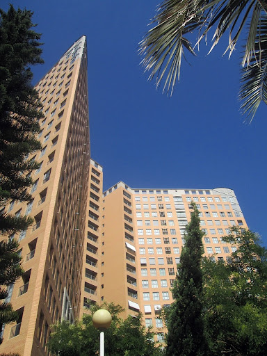 RIVAYA Procurador & Asociados