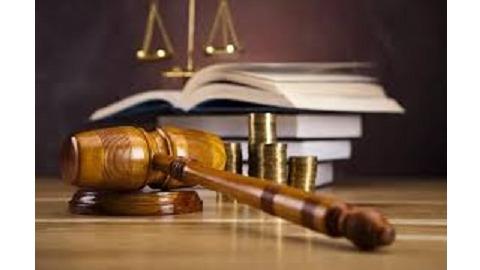 María Del Mar Pinto Ruiz