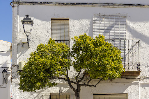 Ayuntamiento de Faraján