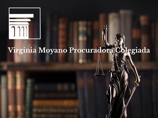 Virginia Moyano Procuradora