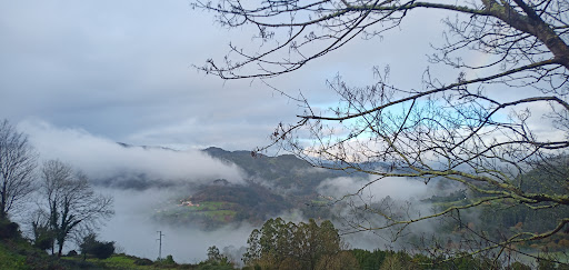 Registro General del Ayuntamiento de Candamo