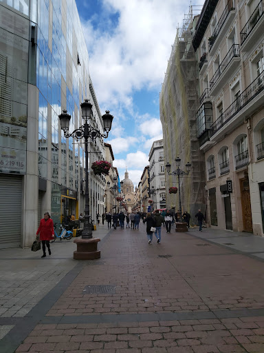 Carlos Berdejo Gracián - Procurador